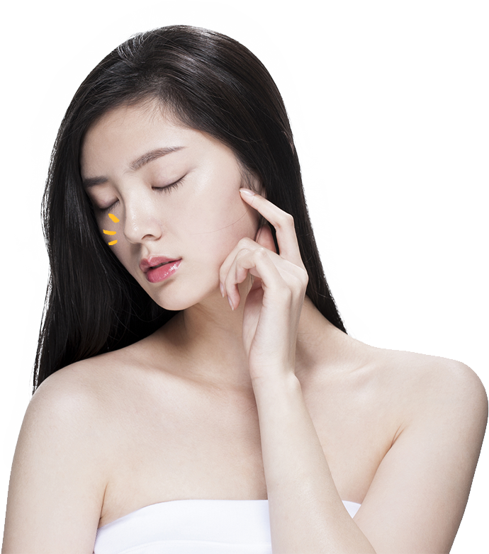 모델